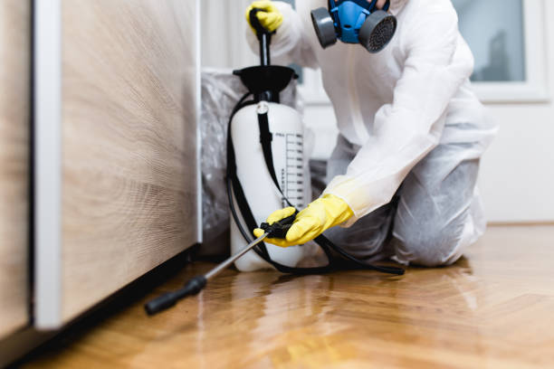 Best Cockroach Control Services  in Tuckahoe, VA
