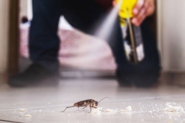 Best Exterminator Services  in Tuckahoe, VA